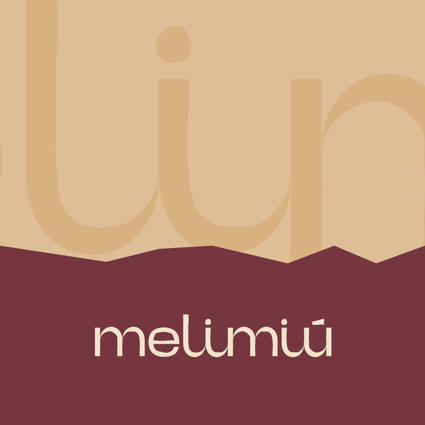 Mel de Jataí 280g (200ml)